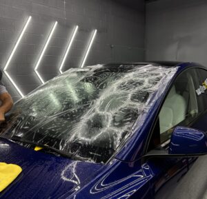 Tesla Windshield